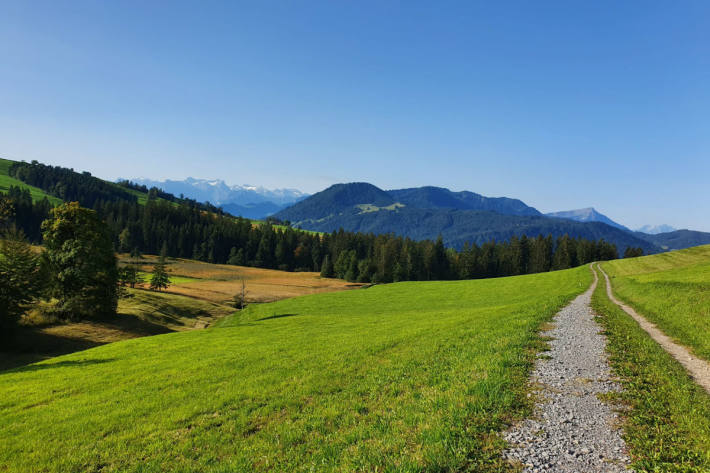 Tödlicher Alpinunfall  (Symbolbild)