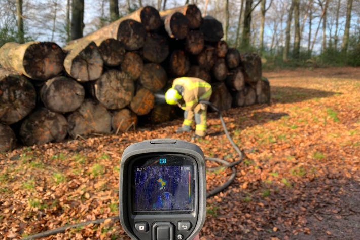 Baumstämme in Brand and der Stadtgrenze Essen/Mülheim 