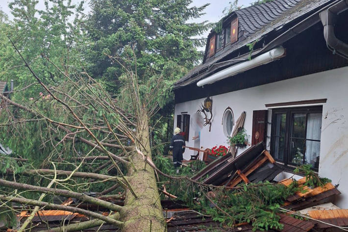 Ein umgestürzter Baum verfehlte ein Wohnhaus in Weinern nur knapp.