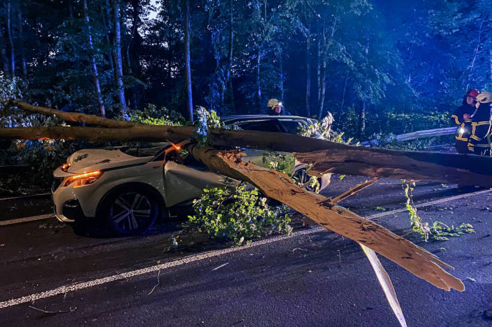 Baum stürzt auf vorbeifahrenden PKW in Iserlohn