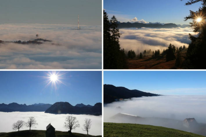 Herrliche Nebelimpressionen vom November 2018