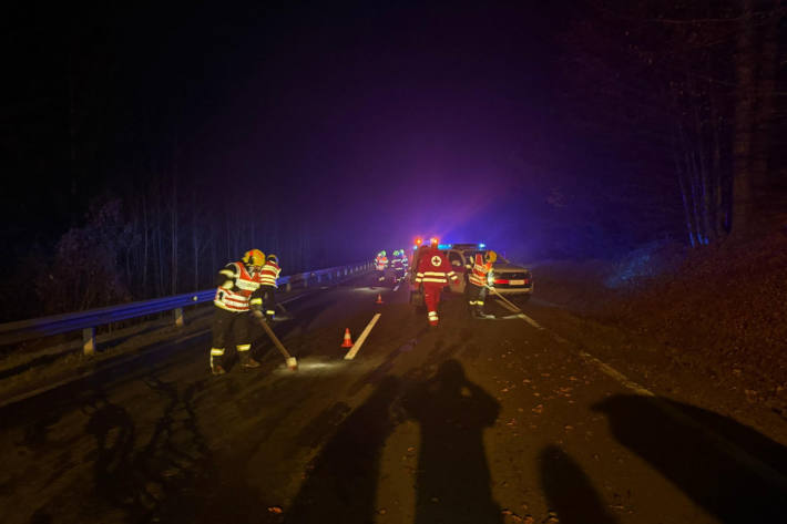 Die 21-Jährige war einem Reh ausgewichen.