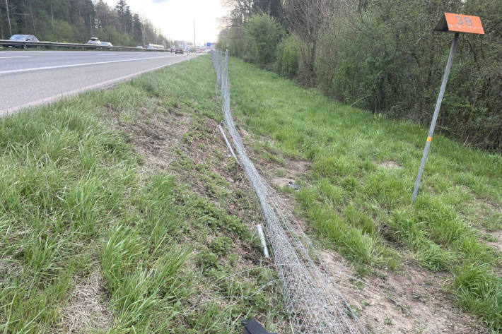 Unbekannter Ford kracht auf der A1 in Wildschutzzaun und flüchtet