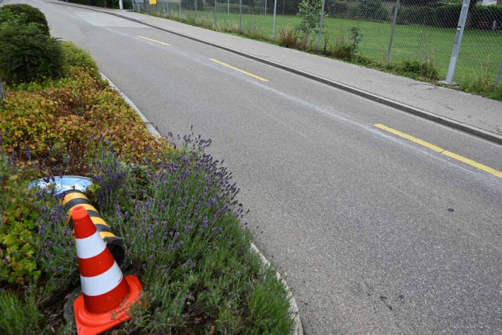  Verkehrsteiler (Biene Maja) umgefahren