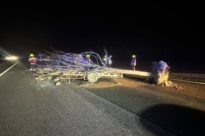 Baum blockiert nach Unfall Autobahn.