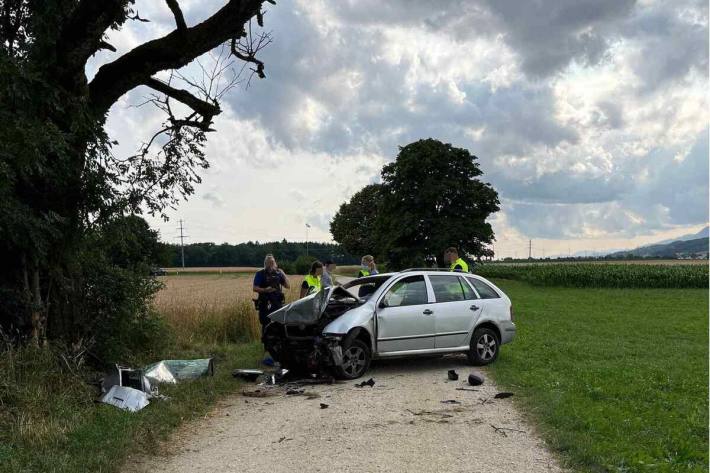 Gegen einen Baum geprallt