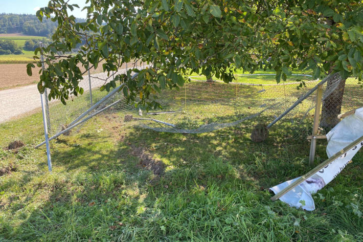 In Zaun von Hundeschule gefahren und geflüchtet