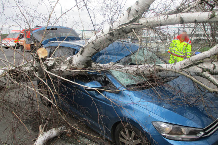 Von Baum getroffenes Unfallfahrzeug