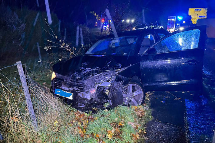 Die Fahrerin des Audi wurde verletzt.