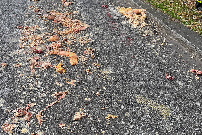 An zwei Stellen wurden Schlachtabfälle großflächig auf der Straße verteilt.