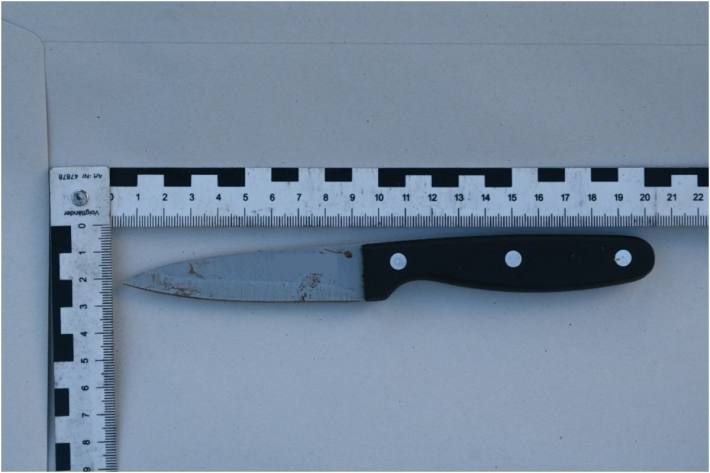 Das sichergestellte Messer