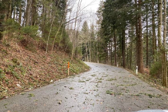 Sturm hat Schäden angerichtet. (Symbolbild)