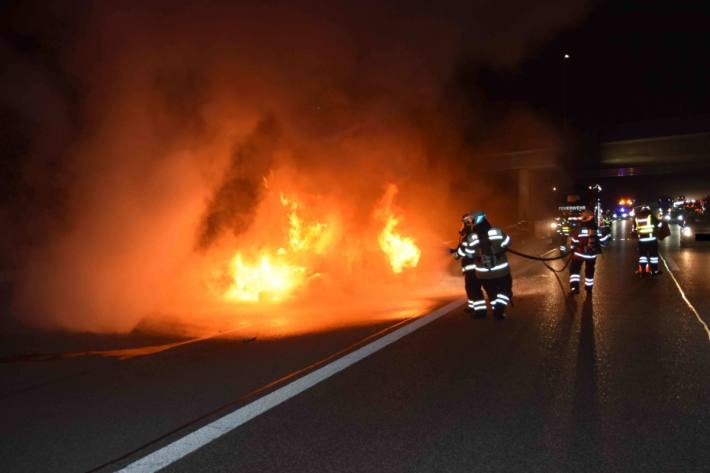 Die Insassen und der Hund konnten das brennende Auto rechtzeitig verlassen.