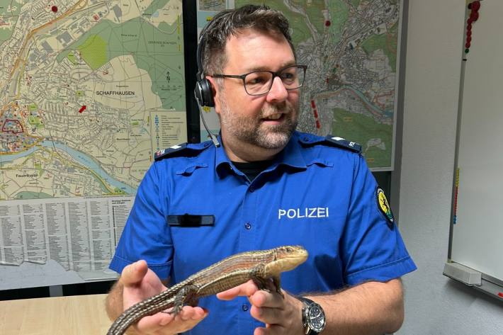 Ein exotisches Reptil wurde in Schaffhausen gefunden.