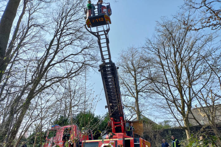 Es gibt die Einsätze wirklich – Feuerwehr rettet Katze aus Baum