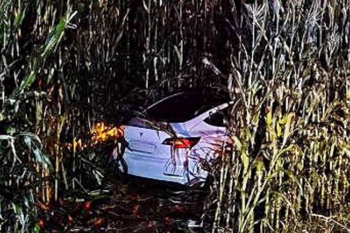 Ein E-Fahrzeug kam ins Schleudern und landete im Maisfeld