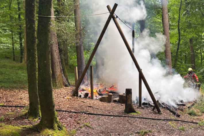Feuerwehr löscht Brand in Waldstück bei Diessenhofen