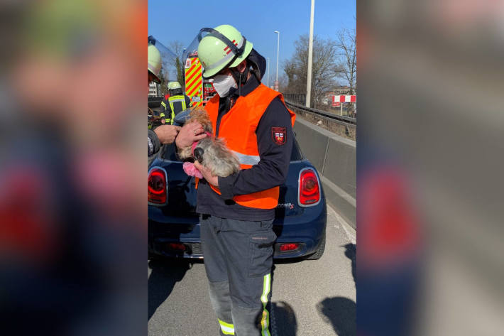 Unfall fordert zwei verletzte Personen auf der A565 bei Bonn