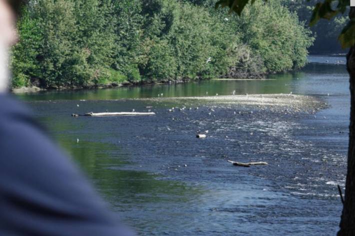 Menschliche Überreste im Po gefunden!