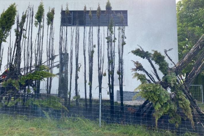 Bei Abflammarbeiten ist gestern in Langrickenbach TG eine Hecke in Brand geraten.