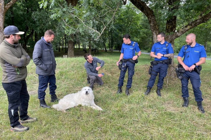 Weiterbildung der Stadtpolizei Chur im Umgang mit Herdenschutzhunden 