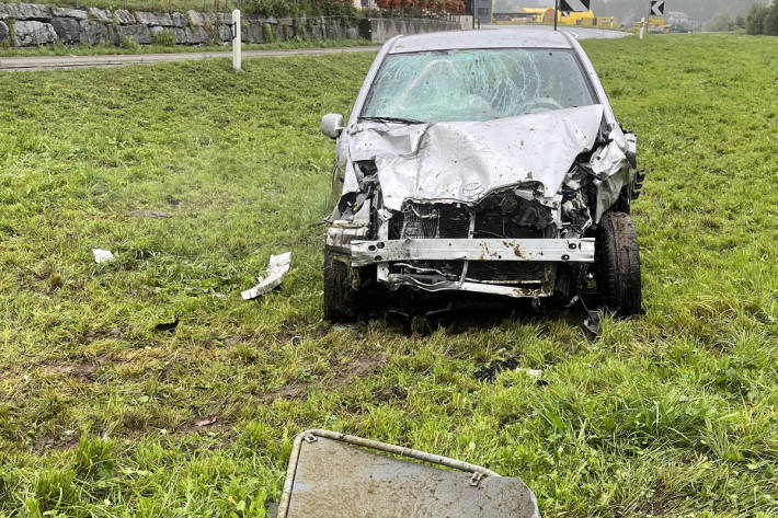 Beim Unfall starben zwei Kühe.