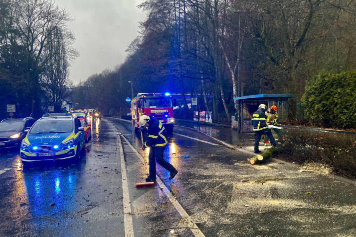 Baum fiel auf mehrere PKW und einen Linienbus