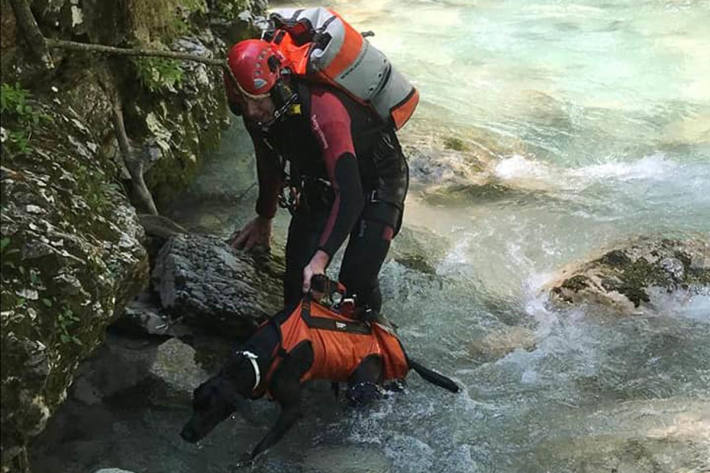 Durch das Gebell des Hundes konnte sein Standort geortet werden