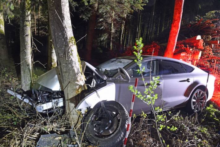 Die beiden Männer, die sich im Auto befanden, verliessen den Unfallort und machten sich zu Fuss auf den Heimweg