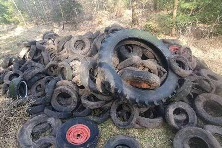 Die Reifen wurden bei Heede einfach im Waldstück entsorgt.