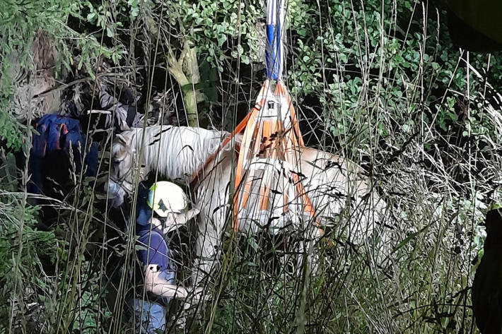 Die Feuerwehr befreite das Pferd mit einem speziellen Rettungsgeschirr.