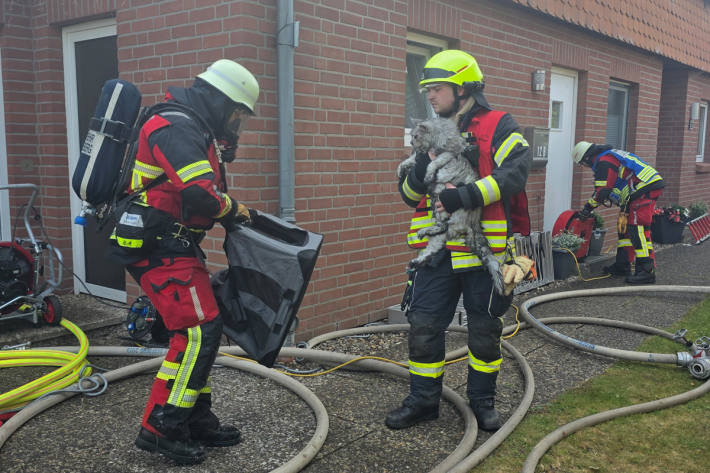 Zwei Katzen konnte die Feuerwehr aus dem brennenden Haus retten.