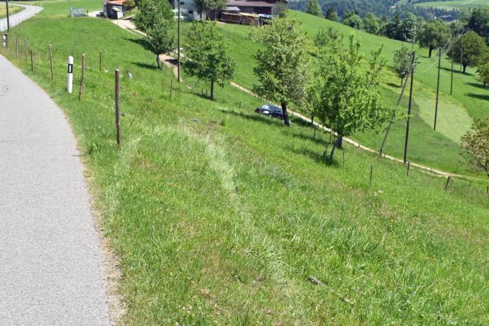 Der Skoda ist gestern in Menznau LU 78 Meter weiter unten zum Stillstand gekommen.