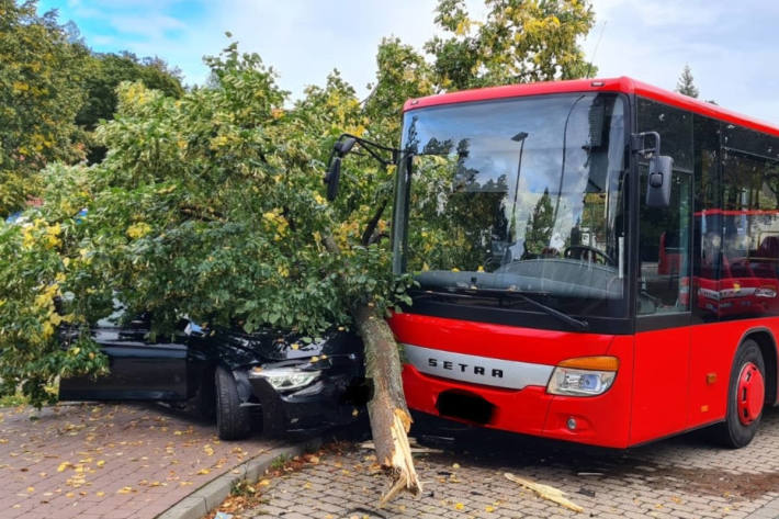 48-Jähriger hinterlässt nach Unfallfahrt mit PKW eine Spur der Verwüstung