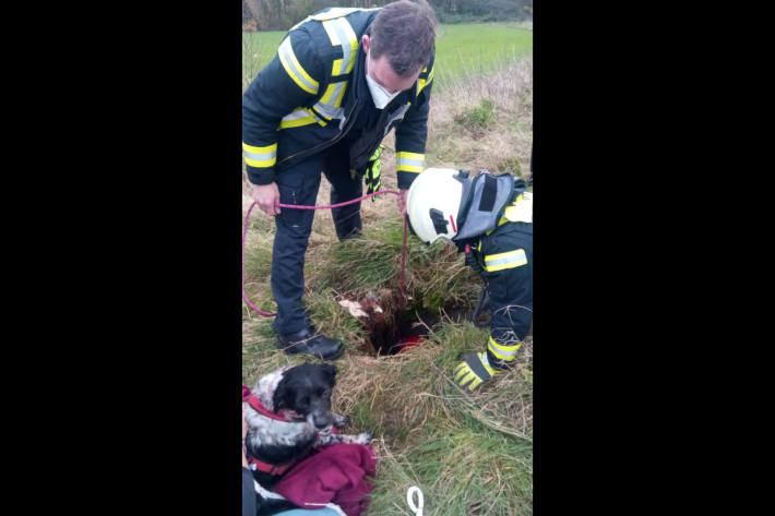 Hund stützt in Witten drei Meter tief in Kanalschacht