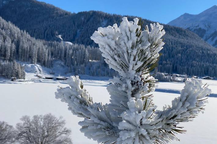 Einfach traumhaft schön – Aufgenommen in Davos GR am 16.01.2021