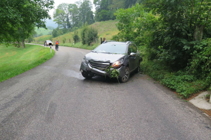 Der Fahrer fuhr unter Cannabis-Einfluss.