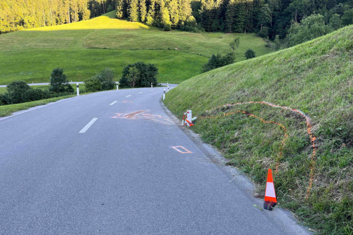 Mit Motorrad in Leitpfosten geprallt