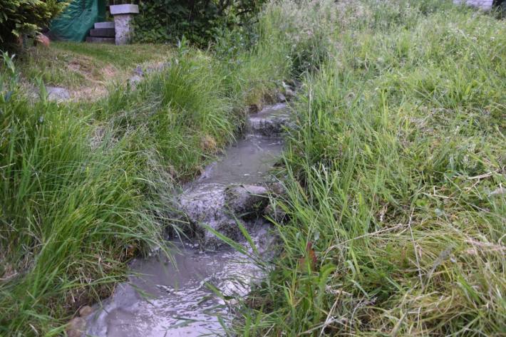 In Eschenbach SG ist gestern Zement in einen Bach gelangt.