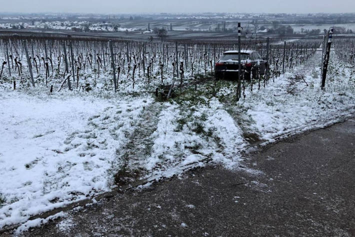 In den Wingert gerauscht aus dem Staub gemacht