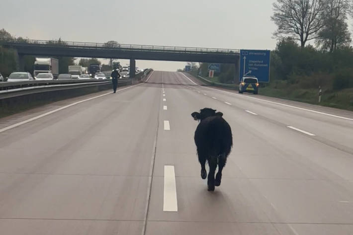 Die Autobahn war voll gesperrt