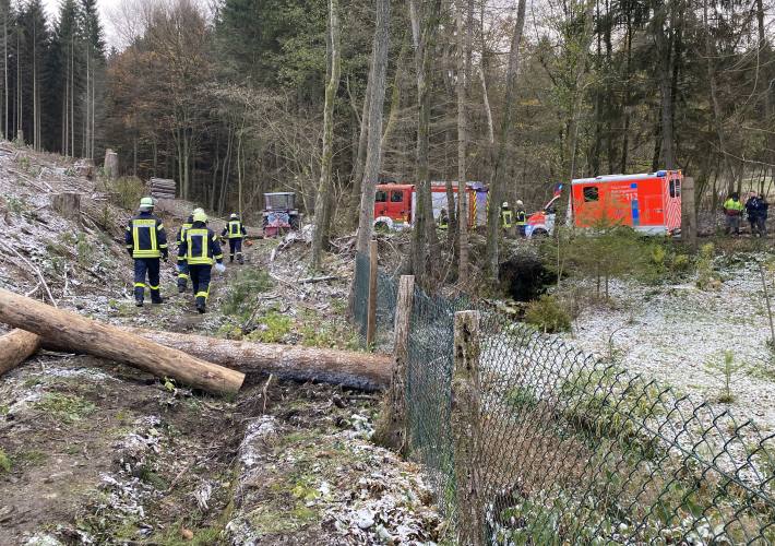 Arbeiter bei Forstarbeiten unter Baumstamm eingeklemmt