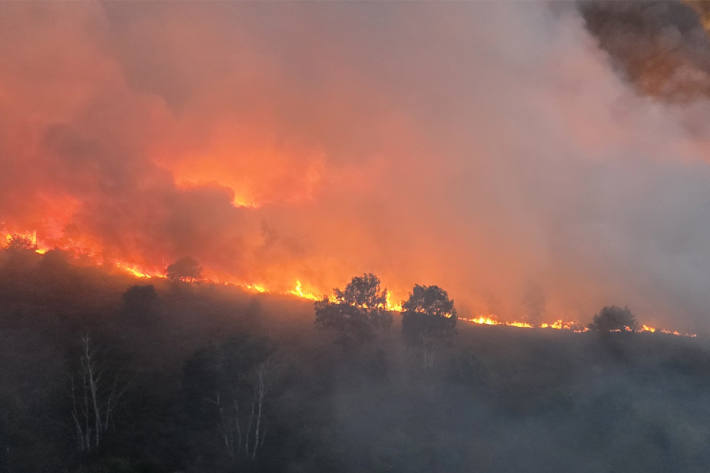 Waldbrand bei Nacht in Gohrischheide, Sachsen.