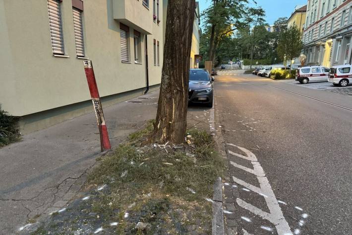 Auch am Baum entstand Sachschaden