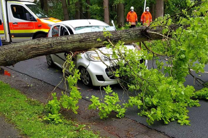 Die junge Frau konnte nicht mehr rechtzeitig bremsen und der Baum fiel in Groß Sterneberg auf die Motorhaube ihres Autos