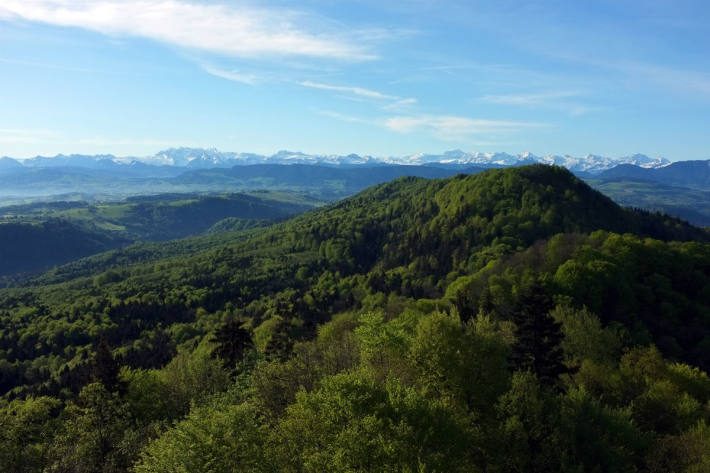 Naturerlebnispark Wildnispark Zürich Sihlwald