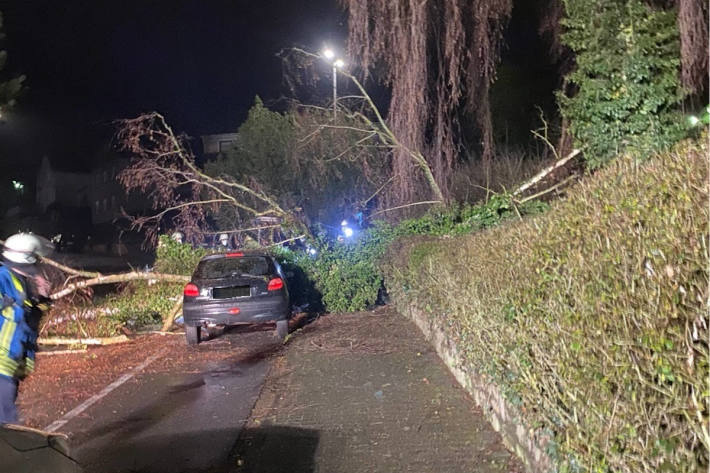 Baum fällt auf parkenden PKW bei Lahnstein