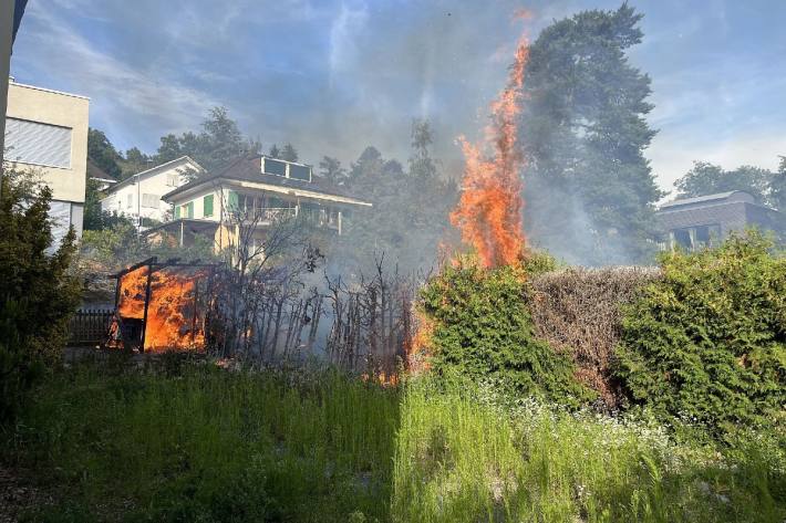 Die Hecke wurde ebenfalls in Mitleidenschaft gezogen.