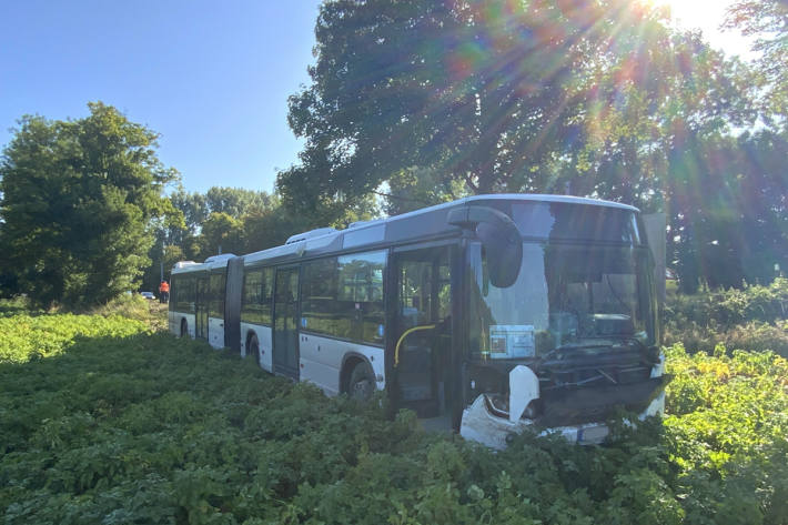 Der Linienbus kam von der Fahrbahn ab.