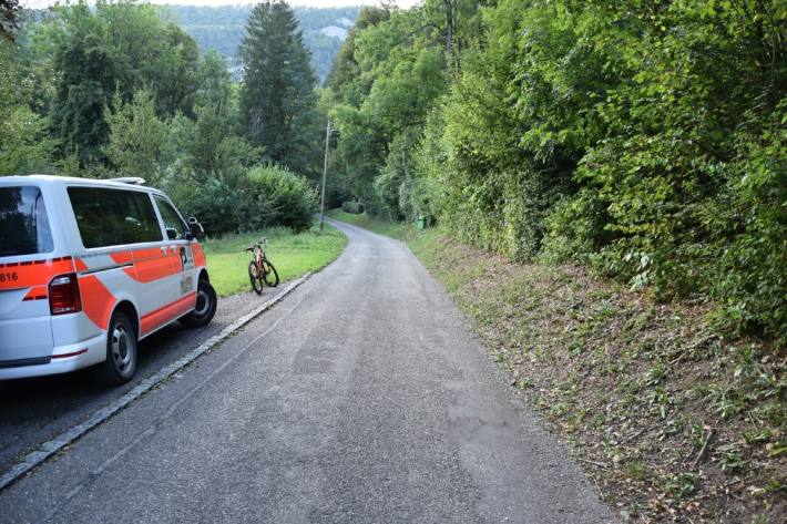 Gestern wurde in Bärschwil SO ein Hund totgefahren.